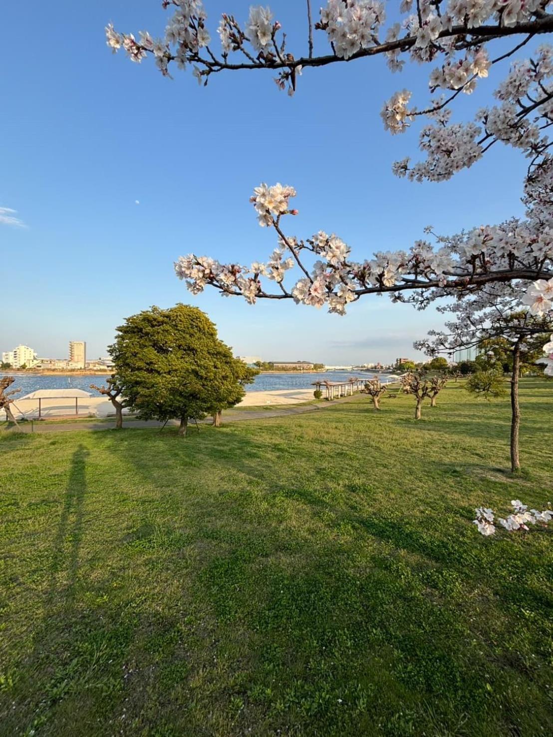 Vacation Inn Heiwajima I Tokyo Exterior photo
